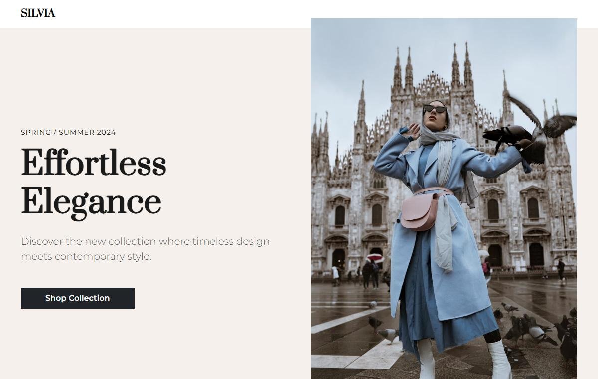 Fashion Brand template preview